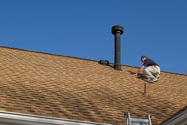 Best Roof Insulation Installation  in El Cenizo, TX